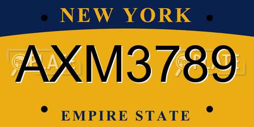 AXM3789 New York License Plate