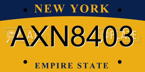 AXN8403 New York License Plate