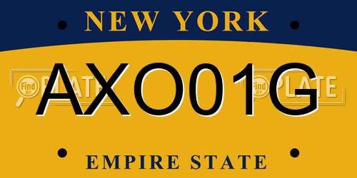 AXO01G New York License Plate