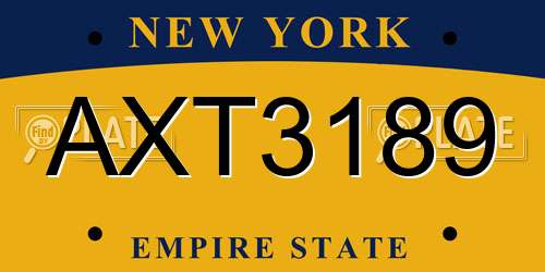 AXT3189 New York License Plate