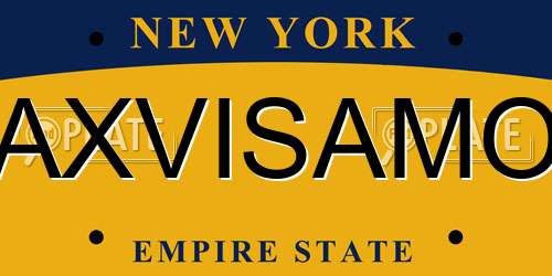 AXVISAMO New York License Plate