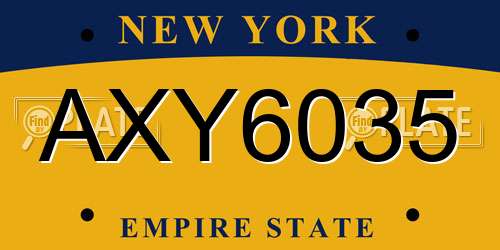 AXY6035 New York License Plate