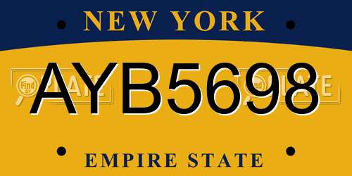 AYB5698 New York License Plate