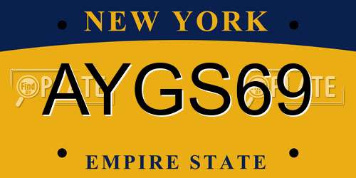 AYGS69 New York License Plate