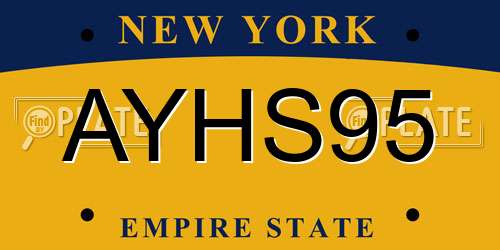 AYHS95 New York License Plate