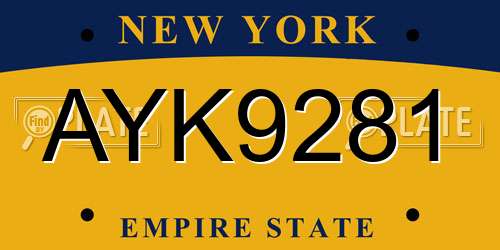 AYK9281 New York License Plate