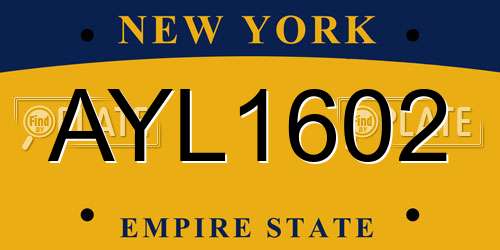AYL1602 New York License Plate