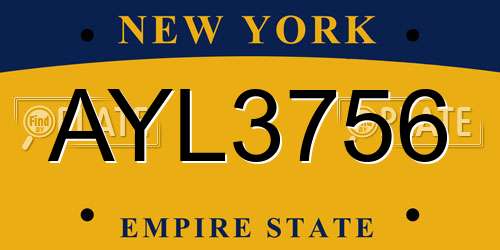 AYL3756 New York License Plate