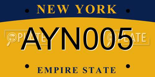 AYN005 New York License Plate