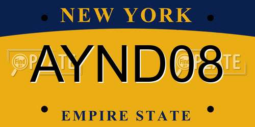 AYND08 New York License Plate