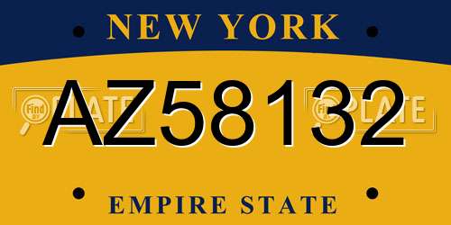 AZ58132 New York License Plate