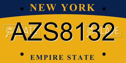 AZS8132 New York License Plate