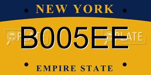 B005EE New York License Plate