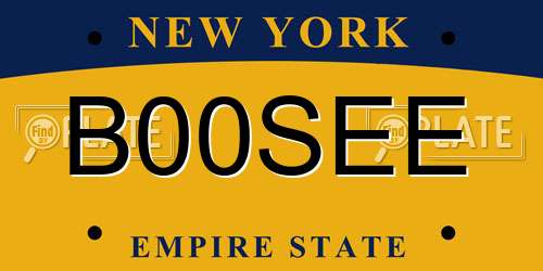B00SEE New York License Plate
