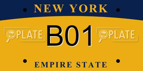 B01 New York License Plate