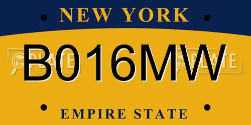 B016MW New York License Plate