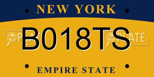 B018TS New York License Plate