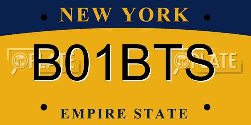 B01BTS New York License Plate