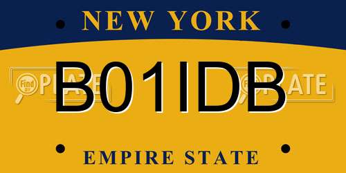 B01IDB New York License Plate