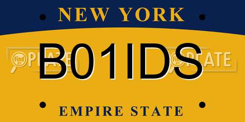 B01IDS New York License Plate