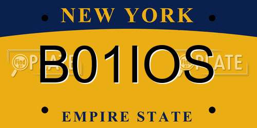 B01IOS New York License Plate