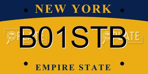 B01STB New York License Plate