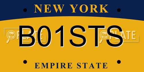 B01STS New York License Plate