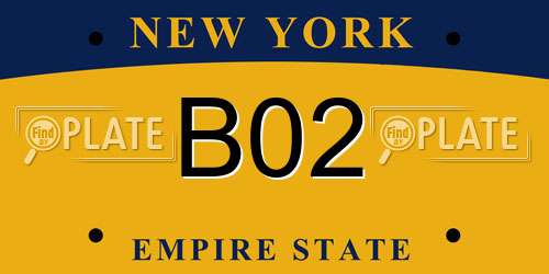 B02 New York License Plate