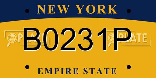 B0231P New York License Plate