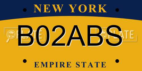 B02ABS New York License Plate