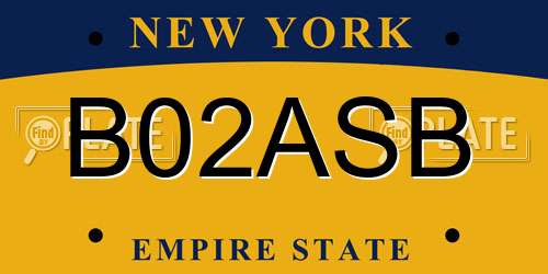 B02ASB New York License Plate