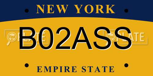 B02ASS New York License Plate