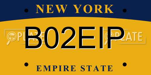 B02EIP New York License Plate