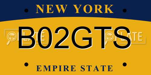 B02GTS New York License Plate