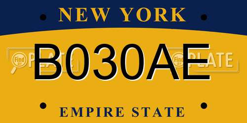 B030AE New York License Plate