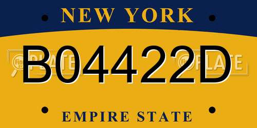 B04422D New York License Plate