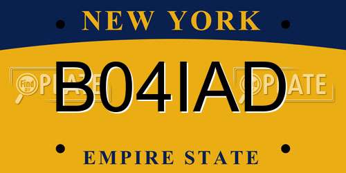 B04IAD New York License Plate