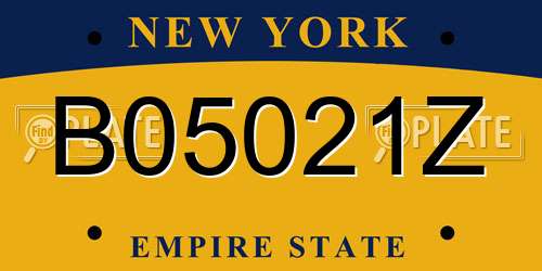 B05021Z New York License Plate