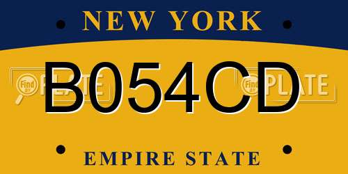 B054CD New York License Plate