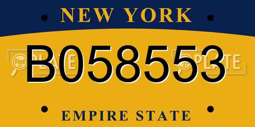 B058553 New York License Plate