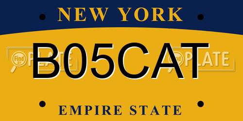 B05CAT New York License Plate