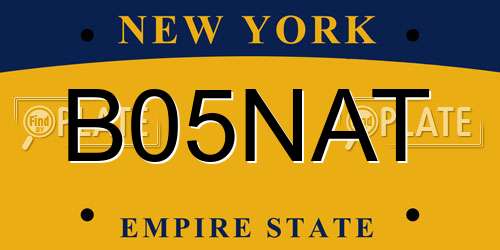 B05NAT New York License Plate