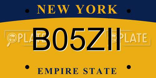 B05ZII New York License Plate