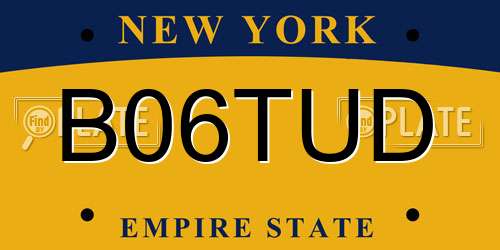 B06TUD New York License Plate