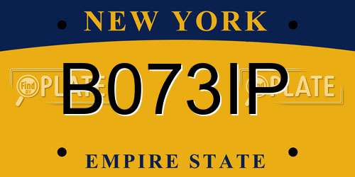 B073IP New York License Plate