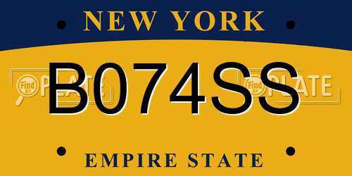 B074SS New York License Plate