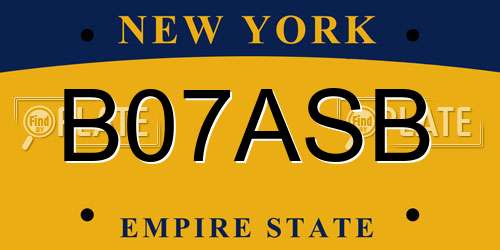 B07ASB New York License Plate