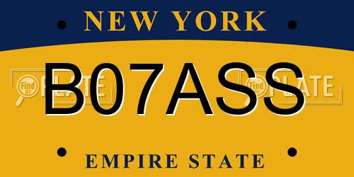 B07ASS New York License Plate