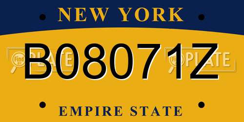 B08071Z New York License Plate