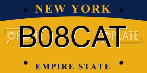 B08CAT New York License Plate